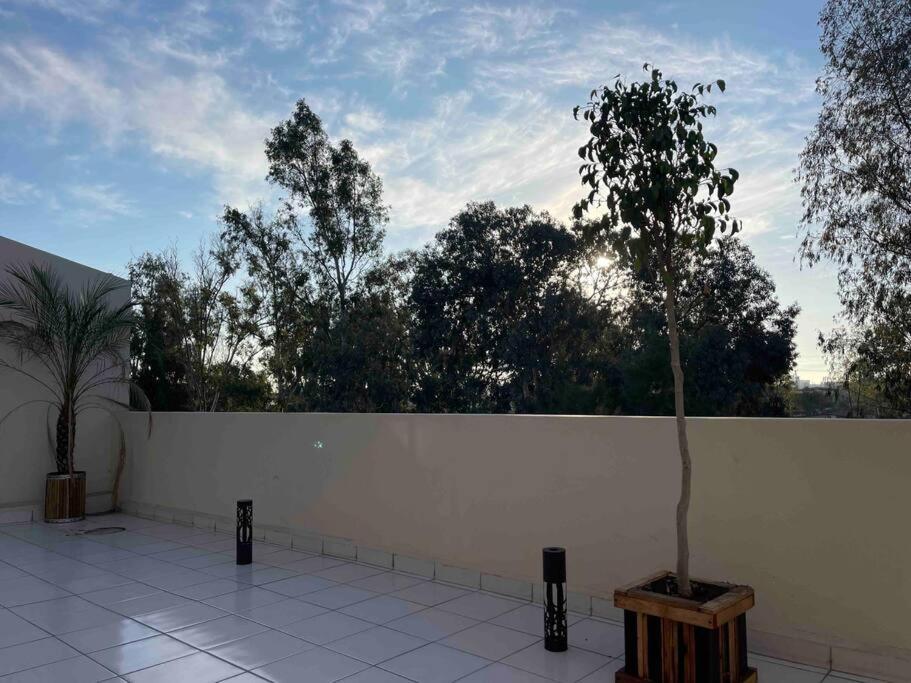 Otay Studio Great Patio Near Otay Crossing & Airport Tijuana Luaran gambar